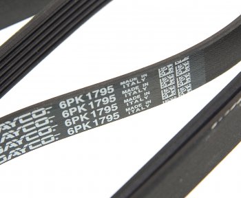 1 099 р. Ремень приводной поликлиновой 6PK1795 DAYCO DAYCO 6pk1795  с доставкой в г. Кемерово. Увеличить фотографию 2
