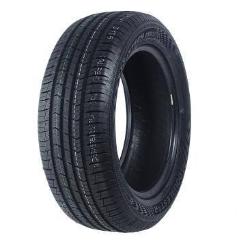9 799 р. Покрышка DOUBLESTAR DW01 шип. DOUBLESTAR 22555 r19  с доставкой в г. Кемерово. Увеличить фотографию 1