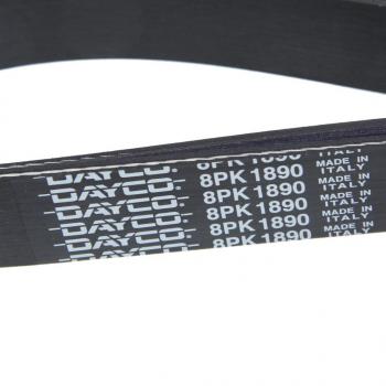 2 689 р. Ремень приводной поликлиновой 8PK1890HD DAYCO DAYCO 8pk1890hd  с доставкой в г. Кемерово. Увеличить фотографию 2