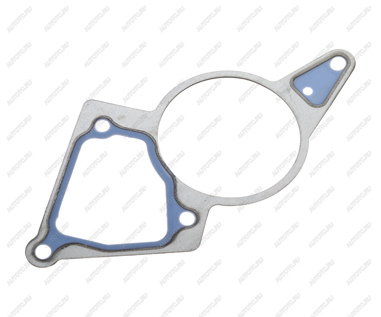 779 р. Прокладка FORD Mondeo (2.0 TDCi),Transit (2.2 TDCi) (00-07) насоса вакуумного BSG BSG bsg30235009  с доставкой в г. Кемерово