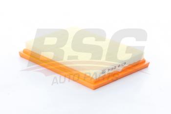 389 р. Фильтр воздушный FORD Fiesta (01-),Fusion (02-) BSG BSG bsg30135028  с доставкой в г. Кемерово. Увеличить фотографию 1