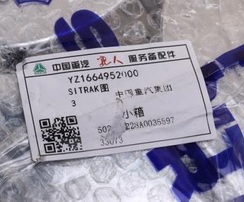 1 159 р. Эмблема SITRAK капота (хромированный логотип) OE SITRAK yz1664952000  с доставкой в г. Кемерово. Увеличить фотографию 4