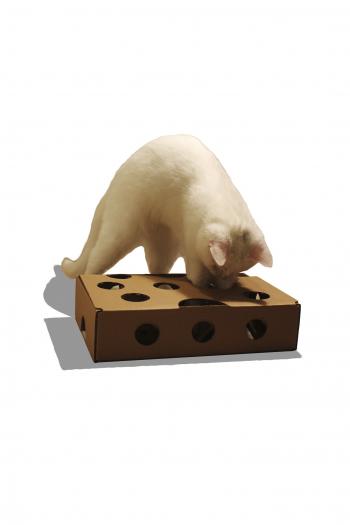 299 р. Игрушка для кошки игрушка-кормушка  дразнилка для кота Ля Мурр! 2001196208001  с доставкой в г. Кемерово. Увеличить фотографию 7