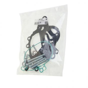 4 199 р. Прокладка VW Bora,Golf,Jetta AUDI A3,A4,A6 SKODA Fabia,Octavia насоса вакуумного комплект MEAT&DORIA MEAT&DORIA 91111  с доставкой в г. Кемерово. Увеличить фотографию 1
