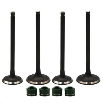 1 699 р. Комплект клапанов c маслосъемными колпачками AHL Yamaha TTR250  пм-00030760  с доставкой в г. Кемерово. Увеличить фотографию 1