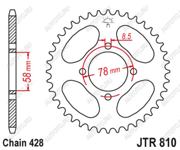 1 699 р. Звезда цепного привода JTR810 41  jtr810.41  с доставкой в г. Кемерово