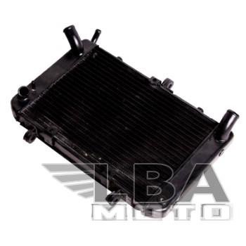 11 699 р. Радиатор для Suzuki GSR400600 04-10  пм-00000929  с доставкой в г. Кемерово. Увеличить фотографию 1