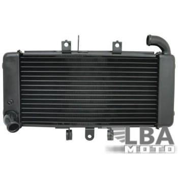 5 949 р. Радиатор для Yamaha FZ400 97-01  пм-00000939  с доставкой в г. Кемерово. Увеличить фотографию 1
