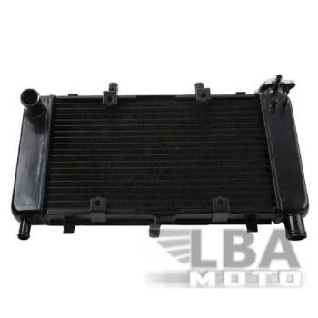 9 999 р. Радиатор для Yamaha FZ6, FZ6N, FZ6-N, FZ6S  04-10  пм-00000940  с доставкой в г. Кемерово. Увеличить фотографию 1