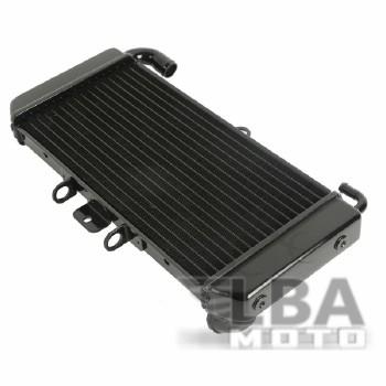 11 449 р. Радиатор для Yamaha FZS600 98-03  пм-00000942  с доставкой в г. Кемерово. Увеличить фотографию 2