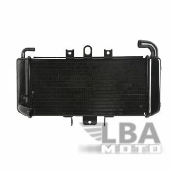 11 449 р. Радиатор для Yamaha FZS600 98-03  пм-00000942  с доставкой в г. Кемерово. Увеличить фотографию 1