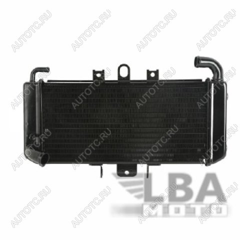 11 449 р. Радиатор для Yamaha FZS600 98-03  пм-00000942  с доставкой в г. Кемерово
