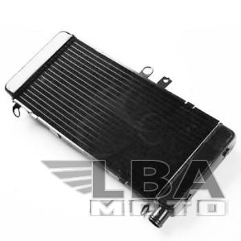 9 749 р. Радиатор для Honda CB900 02-07  пм-00000948  с доставкой в г. Кемерово. Увеличить фотографию 1