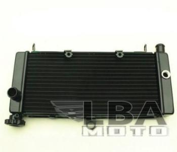 12 449 р. Радиатор для Honda CB600F 98-05 (Hornet), CB600F 00-03 (Hornet S)  пм-00000958  с доставкой в г. Кемерово. Увеличить фотографию 1