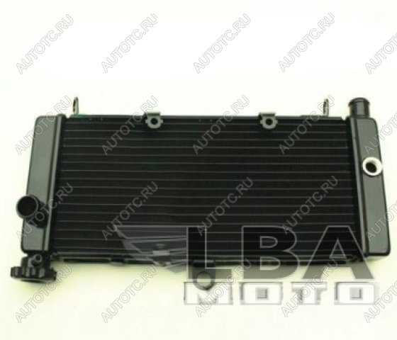12 449 р. Радиатор для Honda CB600F 98-05 (Hornet), CB600F 00-03 (Hornet S)  пм-00000958  с доставкой в г. Кемерово
