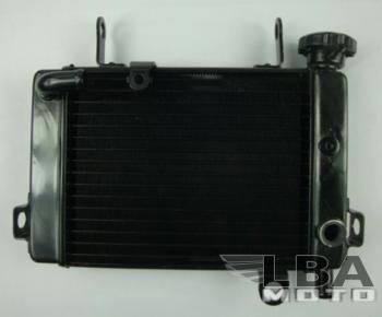10 399 р. Радиатор для Honda CBR125 04-10  пм-00000961  с доставкой в г. Кемерово. Увеличить фотографию 1