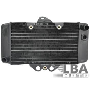 9 249 р. Радиатор для Honda VTR250 97-08  пм-00003639  с доставкой в г. Кемерово. Увеличить фотографию 1