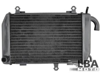 12 449 р. Радиатор правый для Honda GL1800 RH 01-14, GL1800B RH 13-14  пм-00003645  с доставкой в г. Кемерово. Увеличить фотографию 1