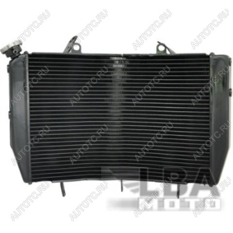 10 849 р. Радиатор для Yamaha YZF-R6 06-07  пм-00003661  с доставкой в г. Кемерово