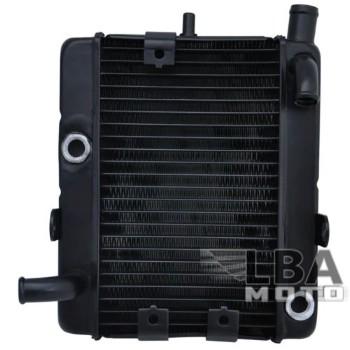 17 449 р. Радиатор для Yamaha YP250  пм-00003663  с доставкой в г. Кемерово. Увеличить фотографию 1