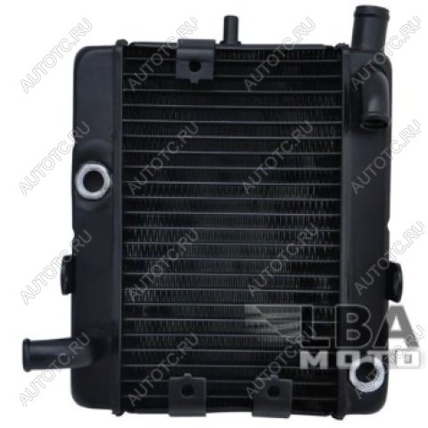 17 449 р. Радиатор для Yamaha YP250  пм-00003663  с доставкой в г. Кемерово