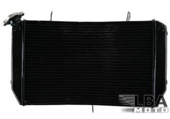 10 999 р. Радиатор для Yamaha FZ1 06-13, FZ1-N 06-12, FZ1-S 06-13, FZ8-N 11-13, FZ8-S 11-13  пм-00003665  с доставкой в г. Кемерово. Увеличить фотографию 1