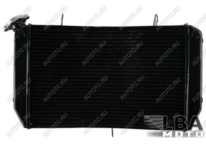 10 999 р. Радиатор для Yamaha FZ1 06-13, FZ1-N 06-12, FZ1-S 06-13, FZ8-N 11-13, FZ8-S 11-13  пм-00003665  с доставкой в г. Кемерово