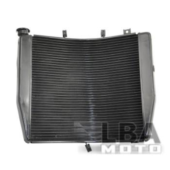 17 499 р. Радиатор для Kawasaki ZX10R 08-10  пм-00003673  с доставкой в г. Кемерово. Увеличить фотографию 1