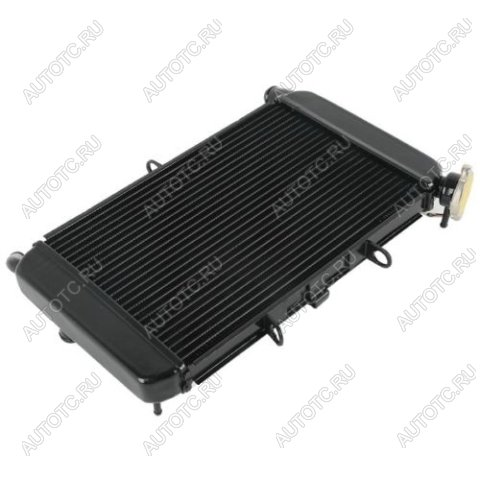 10 999 р. Радиатор для Yamaha XJ6 09-15  пм-00019451  с доставкой в г. Кемерово