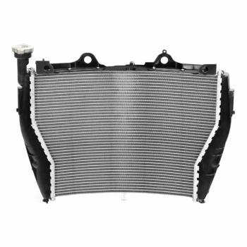 29 999 р. Радиатор для BMW S1000R 14-20, S1000XR 15-19  пм-00025630  с доставкой в г. Кемерово. Увеличить фотографию 1