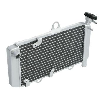 10 649 р. Радиатор для Yamaha XT660R, XT660X 04-14  пм-00025634  с доставкой в г. Кемерово. Увеличить фотографию 2
