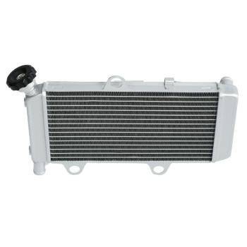 10 649 р. Радиатор для Yamaha XT660R, XT660X 04-14  пм-00025634  с доставкой в г. Кемерово. Увеличить фотографию 1