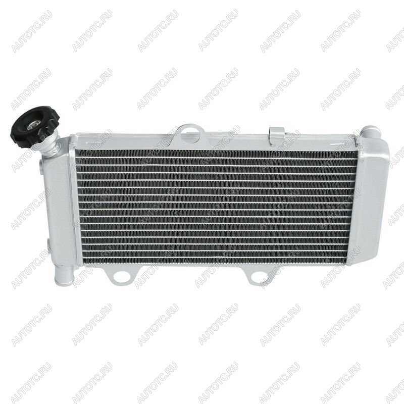 10 649 р. Радиатор для Yamaha XT660R, XT660X 04-14  пм-00025634  с доставкой в г. Кемерово