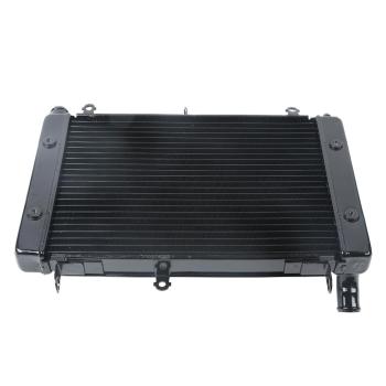 10 549 р. Радиатор для Yamaha FZS1000 01-05  пм-00027315  с доставкой в г. Кемерово. Увеличить фотографию 1