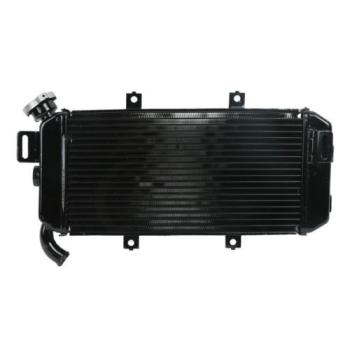 12 899 р. Радиатор для Kawasaki ER-6F 06-08  пм-00027318  с доставкой в г. Кемерово. Увеличить фотографию 1