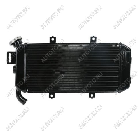12 899 р. Радиатор для Kawasaki ER-6F 06-08  пм-00027318  с доставкой в г. Кемерово