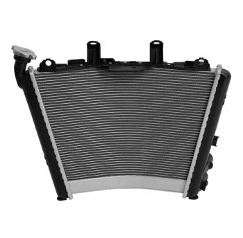 24 999 р. Радиатор для BMW M1000RR 21-24, S1000R 21-24, S1000RR 19-24  пм-00030874  с доставкой в г. Кемерово. Увеличить фотографию 3