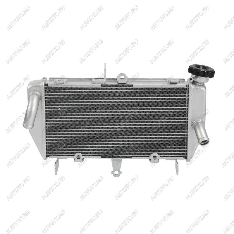 14 499 р. Радиатор для Yamaha MT-03, MT-25 16-24  пм-00030800  с доставкой в г. Кемерово
