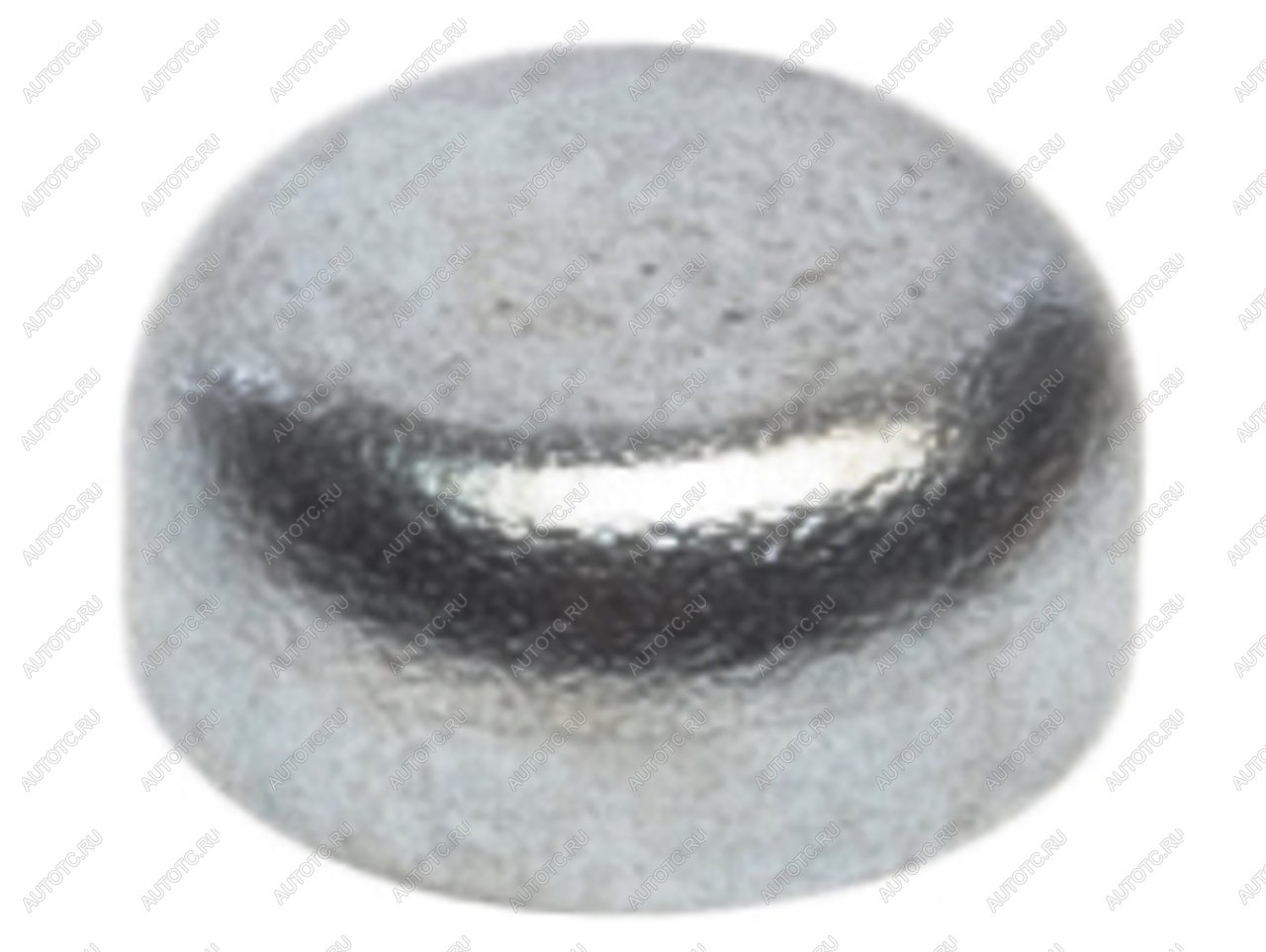 37 р. Заглушка ГАЗ дв.CUMMINS ISF головки блока малая G-PART (ОАО ГАЗ) G-PART gp.10040006  с доставкой в г. Кемерово