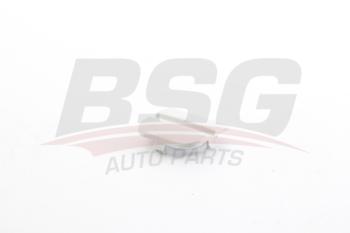 123 р. Заглушка FORD Focus (08-) отверстия буксировочного бампера заднего BSG BSG bsg30922086  с доставкой в г. Кемерово. Увеличить фотографию 1