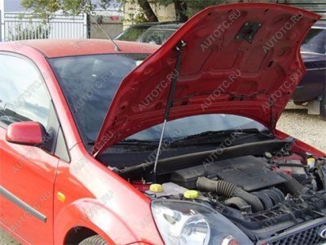 3 499 р. Упор капота ТехноМастер  Ford Fiesta  5 (2001-2008) хэтчбэк 5 дв. дорестайлинг, хэтчбэк 5 дв. рестайлинг  с доставкой в г. Кемерово