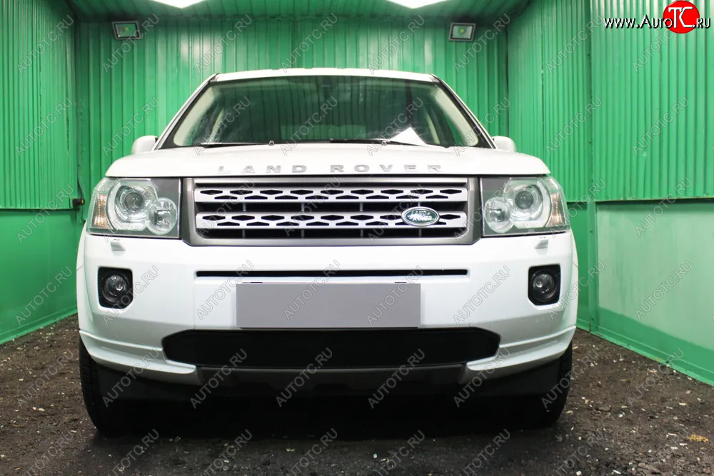 2 899 р. Защитная сетка в бампер (низ, ячейка 3х7 мм) Alfeco Стандарт  Land Rover Freelander  L359 (2010-2012) 1-ый рестайлинг (Чёрная)  с доставкой в г. Кемерово