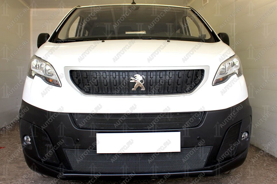 5 949 р. Защита радиатора (2 части центральные) Стрелка11 Стандарт Peugeot Expert K0 цельнометаллический фургон дорестайлинг (2016-2024) (черная)  с доставкой в г. Кемерово