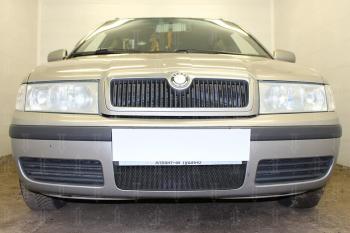 Защита радиатора (Active) Стрелка11 Стандарт Skoda Octavia Tour A4 1U2 лифтбэк рестайлинг (2000-2010) (черная)