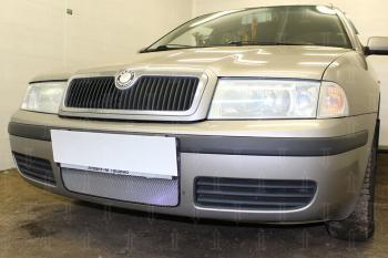 Защита радиатора Стрелка11 Стандарт Skoda Octavia Tour A4 1U2 лифтбэк рестайлинг (2000-2010) (хром)