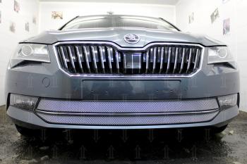 4 999 р. Защита радиатора (2 части) Стрелка11 Стандарт  Skoda Superb ( B8 (3V),  B8 (3V5)) (2015-2019) лифтбэк дорестайлинг, универсал дорестайлинг (хром)  с доставкой в г. Кемерово. Увеличить фотографию 2