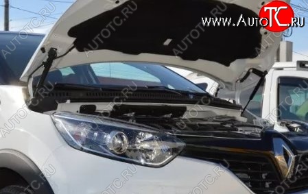 2 199 р. Газовые упоры капота Berkut Renault Kaptur дорестайлинг (2016-2020)  с доставкой в г. Кемерово