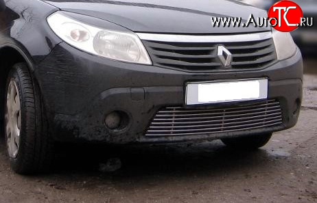 5 999 р. Декоративная вставка воздухозаборника Berkut Renault Sandero (BS) (2009-2014)  с доставкой в г. Кемерово