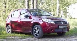 2 399 р. Защитная сетка решетки переднего бампера РА  Renault Sandero  (BS) (2009-2014)  с доставкой в г. Кемерово. Увеличить фотографию 3