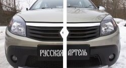 2 499 р. Защитная сетка решетки переднего бампера РА  Renault Sandero Stepway  (BS) (2010-2014)  с доставкой в г. Кемерово. Увеличить фотографию 2